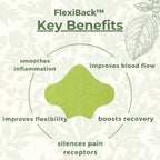 FlexiBack™️ - Naturalne plastry na ból pleców